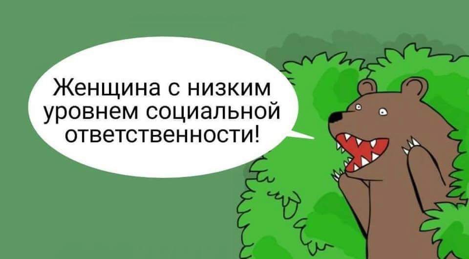 960x530, 56 Kb / Медведь, Путин, фраза, шлюха, проститутка