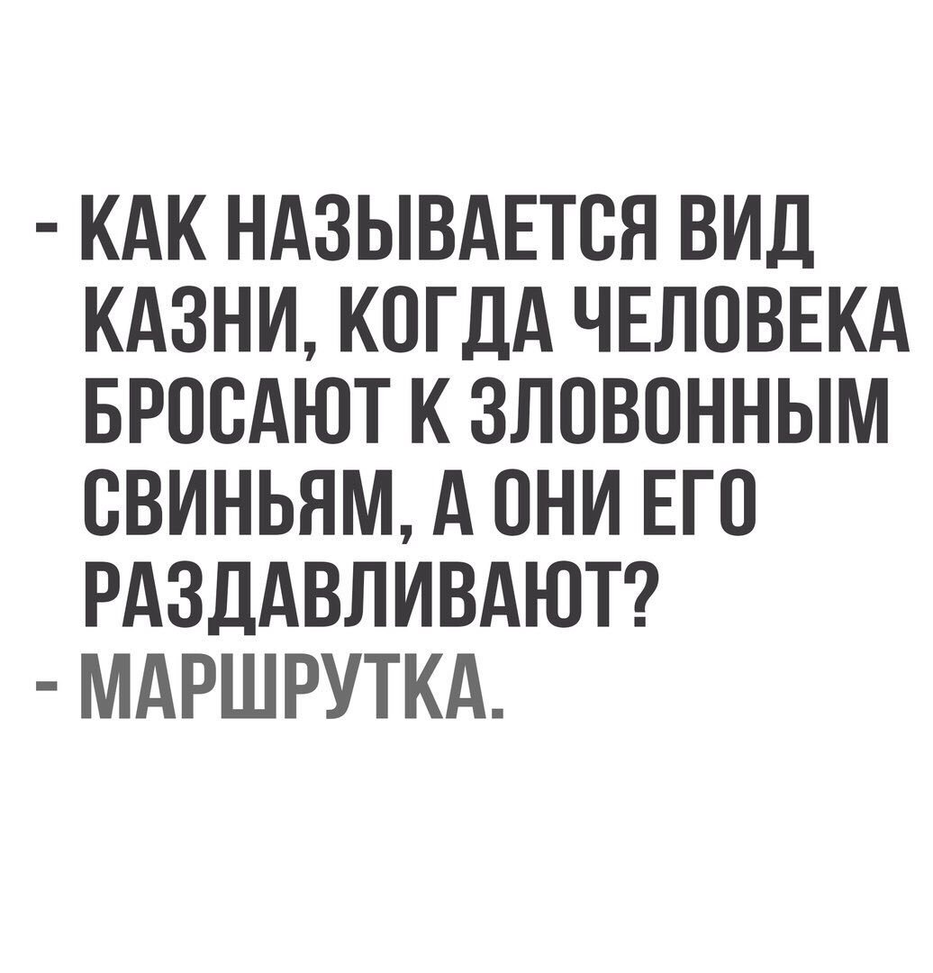 1036x1080, 83 Kb / казнь, маршрутка, свиньи