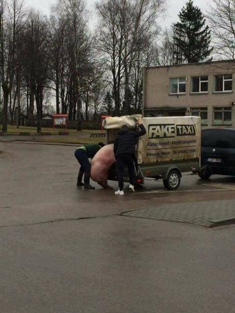 460x613, 48 Kb / свинище, fake taxi, прицеп