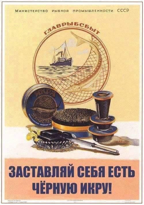 500x709, 82 Kb / икра, черная, плакат, абырвалг