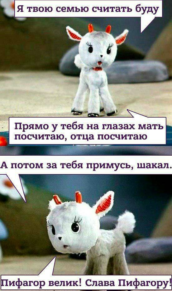 552x933, 101 Kb / козленок, пифагор, счет, мать, отец, семья, шакал