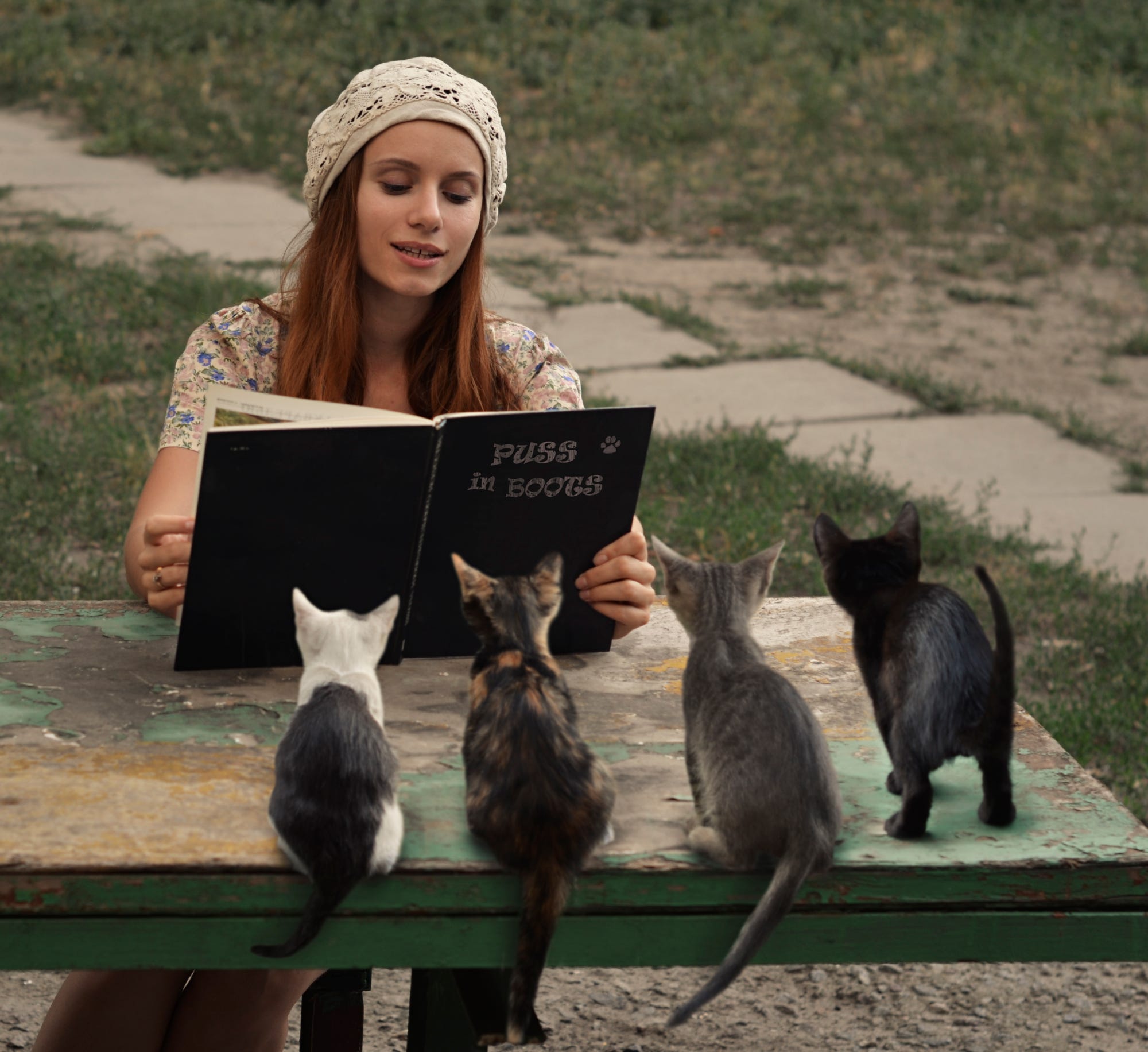 2000x1832, 312 Kb / кот, в сапогах, книга, читает, котята