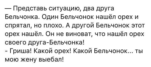 640x283, 33 Kb / друг, жена, бельчонок, инцидент