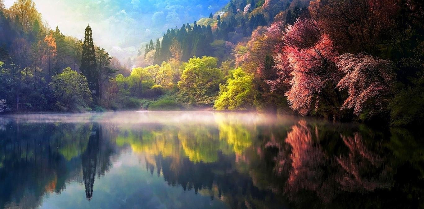 1366x675, 146 Kb / пейзаж, лес, деревья, озеро, отражение