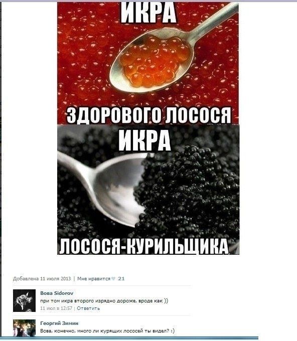 592x680, 71 Kb / Лосось, икра