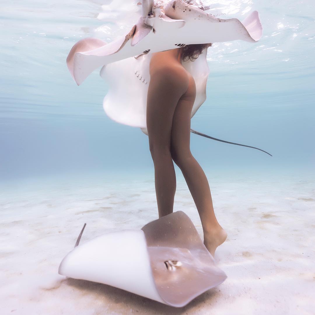 1080x1080, 57 Kb / скат, попа, под водой