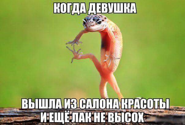 604x408, 28 Kb / ящерица, девушка, маникюр, лак