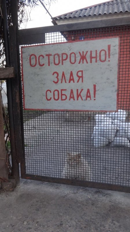 450x800, 198 Kb / кот, предупреждение, табличка, собака, злая