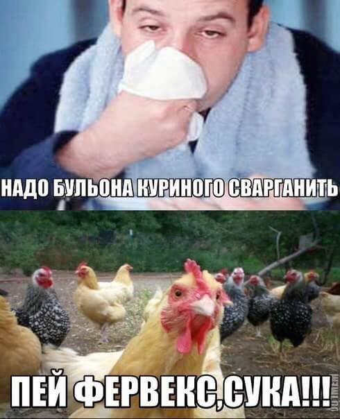 490x604, 37 Kb / Суп, простуда, курица, фервекс, бульон