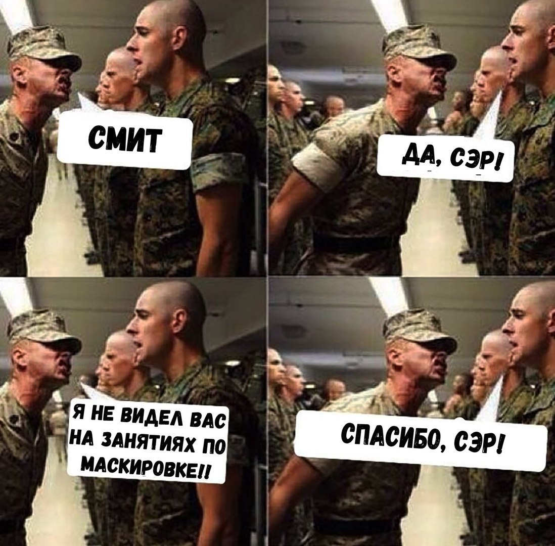1098x1080, 206 Kb / маскировка, спасибо, солдаты