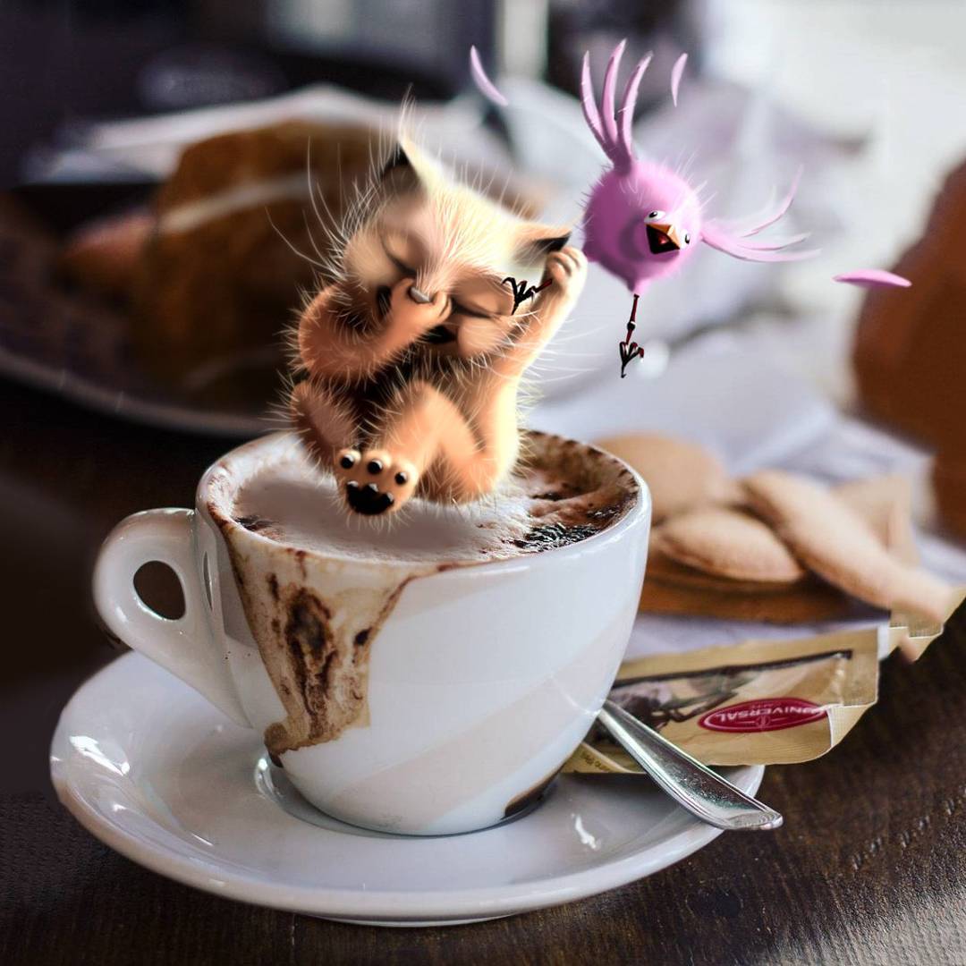 1080x1080, 103 Kb / Кофе, чашка, котенок, птичка, фотошоп, печенье
