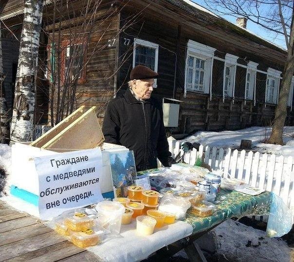 604x539, 105 Kb / мед, медведи, граждане, очередь, береза, лоток