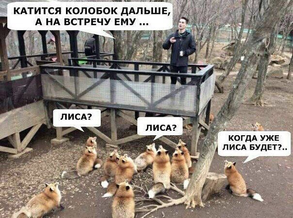 604x450, 85 Kb / Колобок, лисы