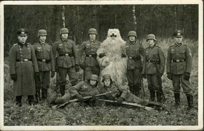 700x452, 73 Kb / фашисты, медвед