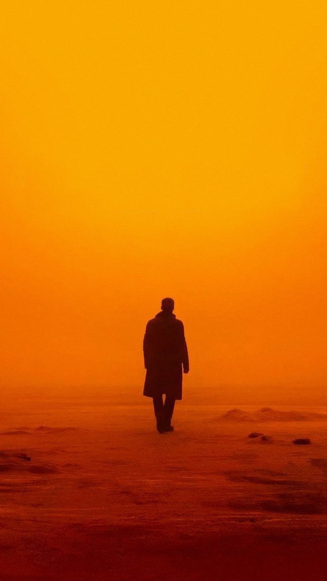 1080x1920, 171 Kb / blade, runner, 2049, бегущий по лезвию бритвы, райан, гослинг