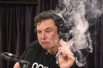 420x280, 92 Kb / Маск, косяк