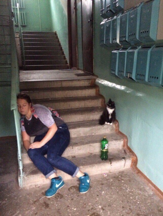 550x731, 162 Kb / подъезд, пьяная, ящики, лестница, nike