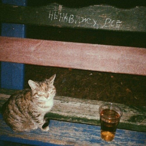 500x500, 64 Kb / Кот, пиво, скамейка, стакан, ненавижу