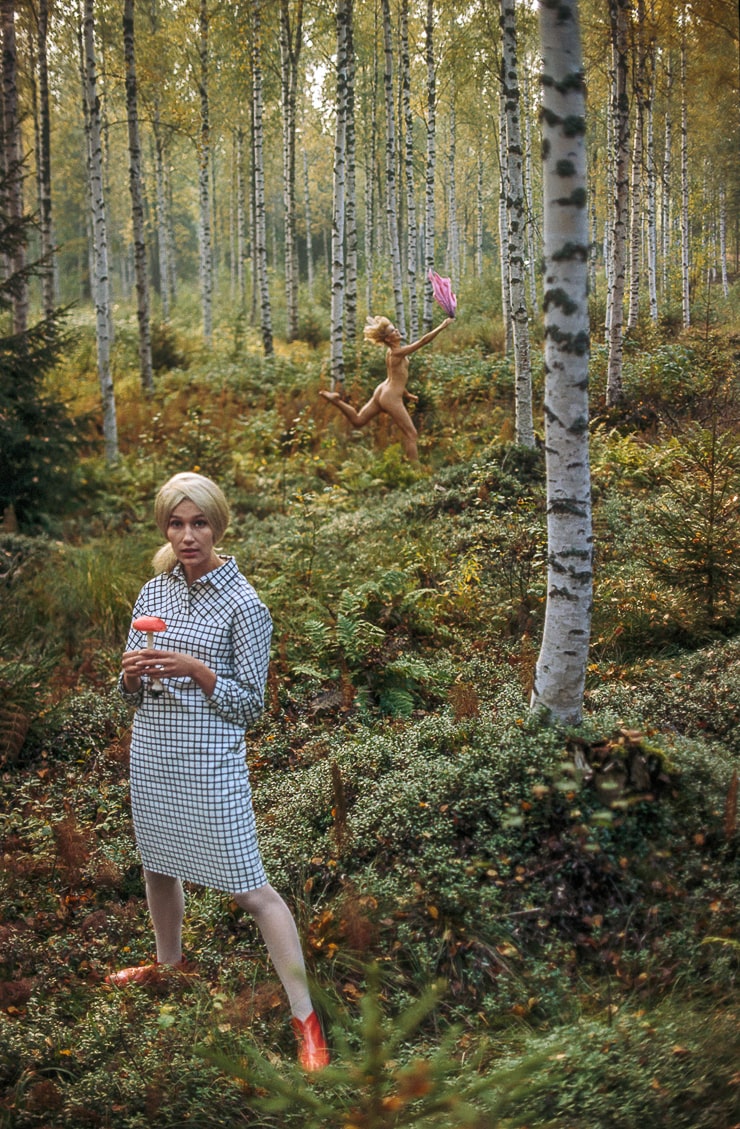 740x1129, 291 Kb / девки, грибы, мухоморы, лес, весело, зелено, березы, клетка, блондинка, показалось, эйфория