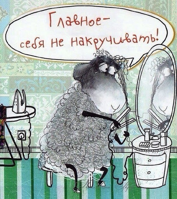 570x640, 177 Kb / овечка, зеркало, утюг, кучерявая, плойка
