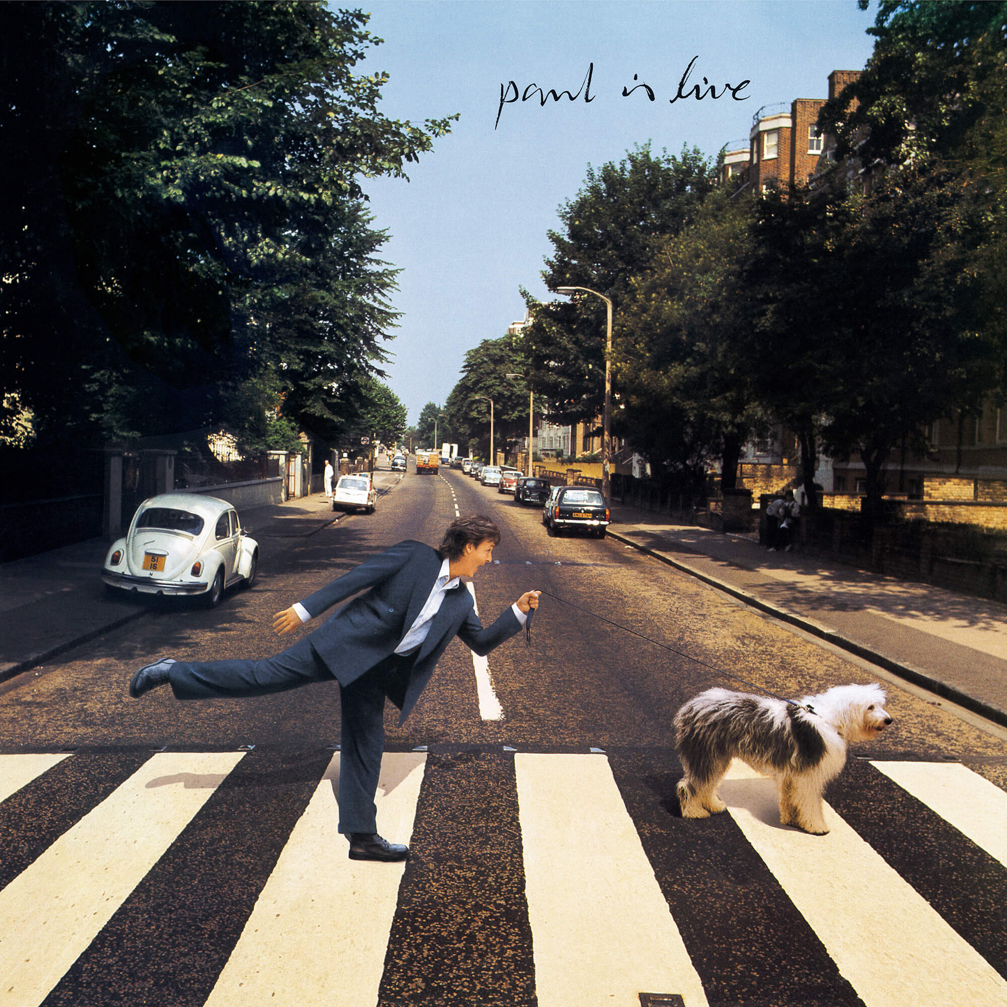 2000x2000, 596 Kb / битлз, маккартни, зебра, переход, собака, Paul Is Live, обложка, the Beatles, Abbey Road