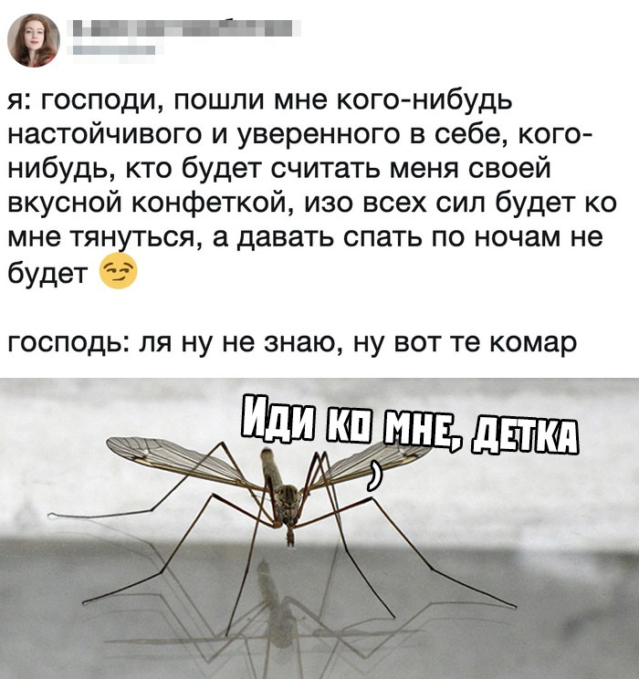 700x744, 96 Kb / комар, детка, Господи, конфетка