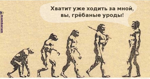 630x330, 59 Kb / эволюция