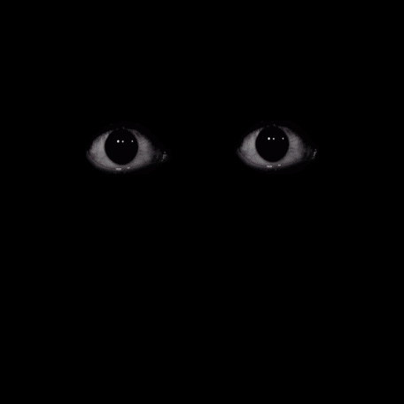 456x456, 404 Kb / глаза, ч/б, гиф