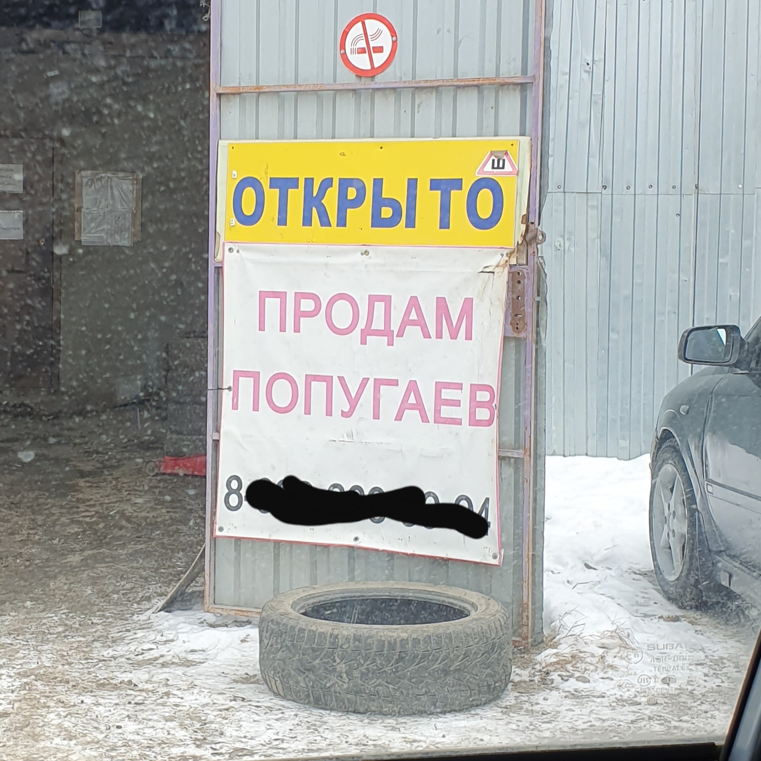 1528x1528, 527 Kb / шиномонтаж, открыто, попугаи