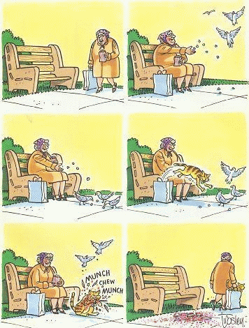 356x470, 95 Kb / голуби, кот, кормёжка