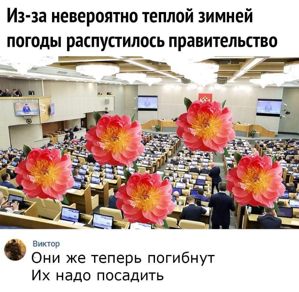 994x970, 121 Kb / правительство, посадить, цветы, политота