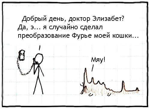500x361, 30 Kb / фурье, кошка