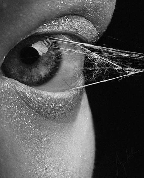 480x593, 49 Kb / Anja Millen,глаз, паутина, ч/б