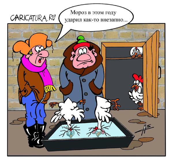 600x567, 62 Kb / мороз, курицы