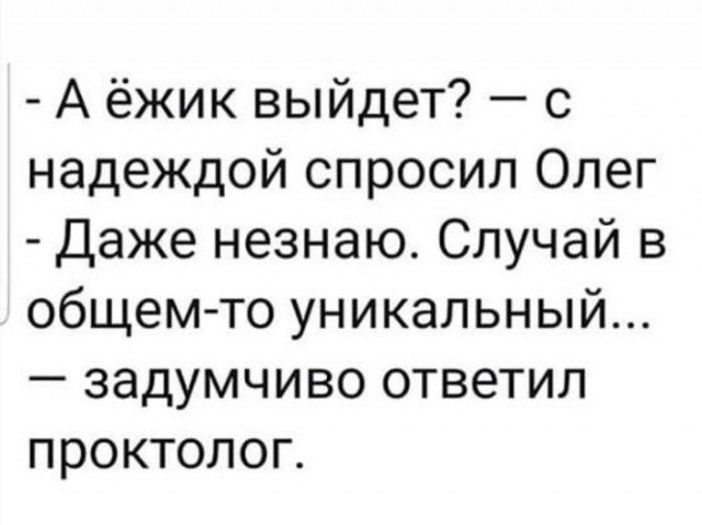 640x479, 42 Kb / ёжик, проктолог