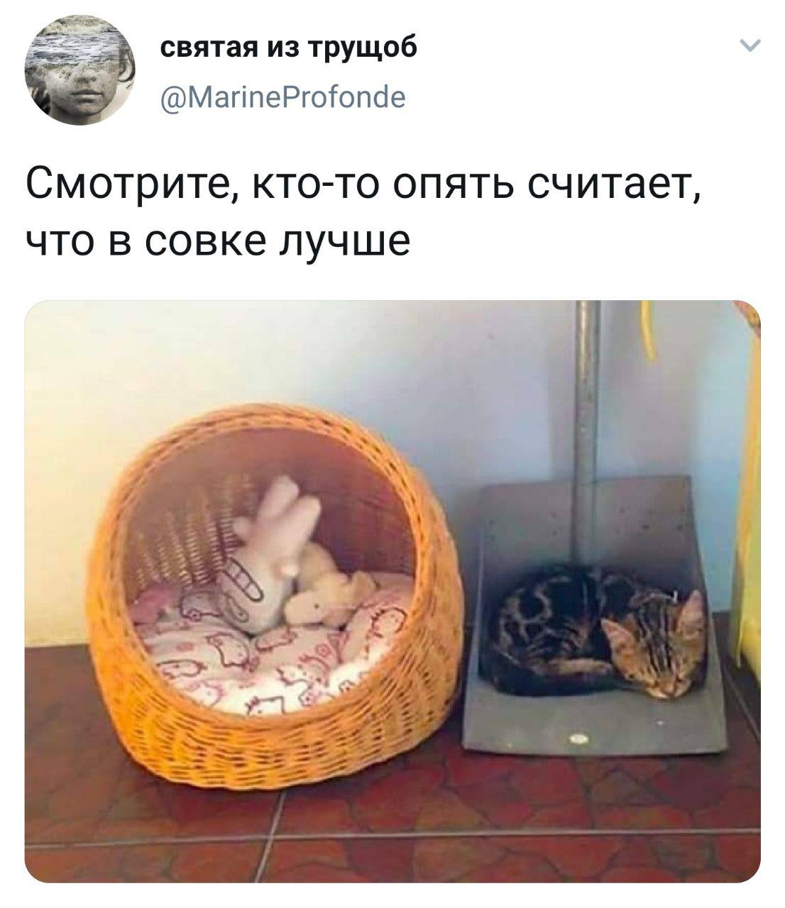 1106x1280, 112 Kb / совок, котенок, корзина