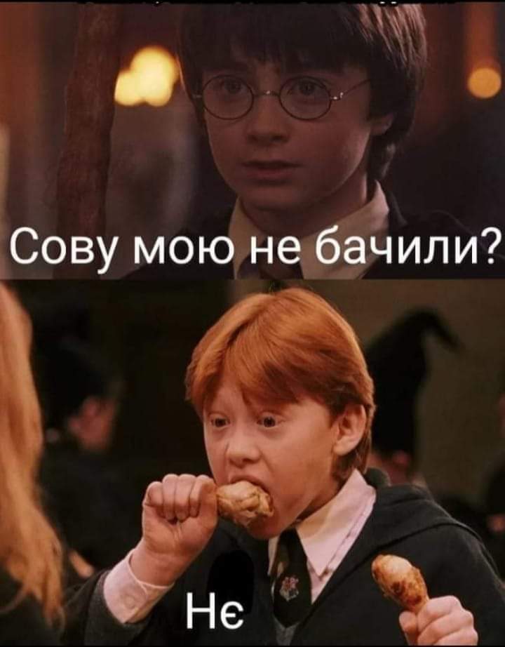 720x922, 41 Kb / Гарри Поттер, сова, Рон