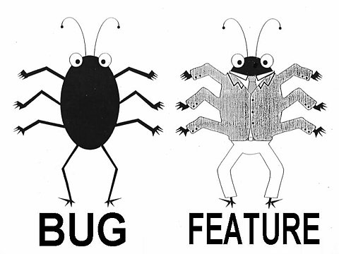 480x360, 29 Kb / программирование, баг, фича, bug, feature