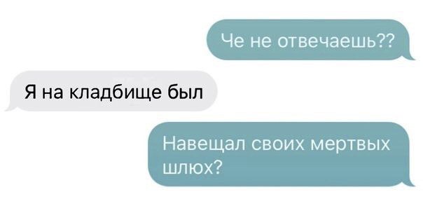 604x294, 20 Kb / Мессенджер, кладбище, шлюхи