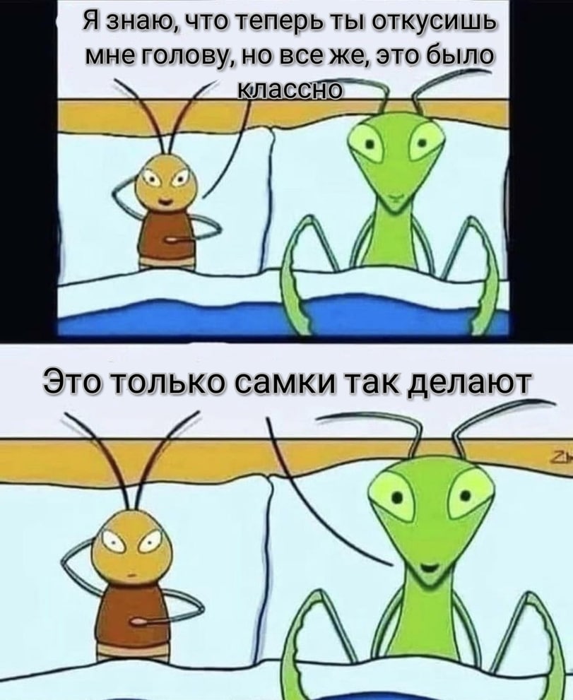 811x991, 112 Kb / Богомол, самки