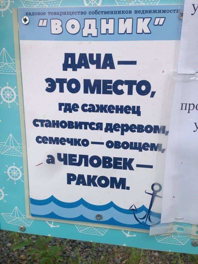 640x854, 70 Kb / дача, раком, водник