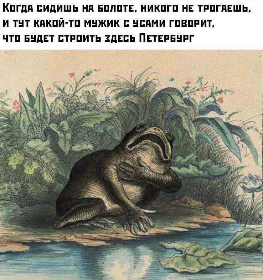 840x892, 185 Kb / Болото, Петербург, лягушка