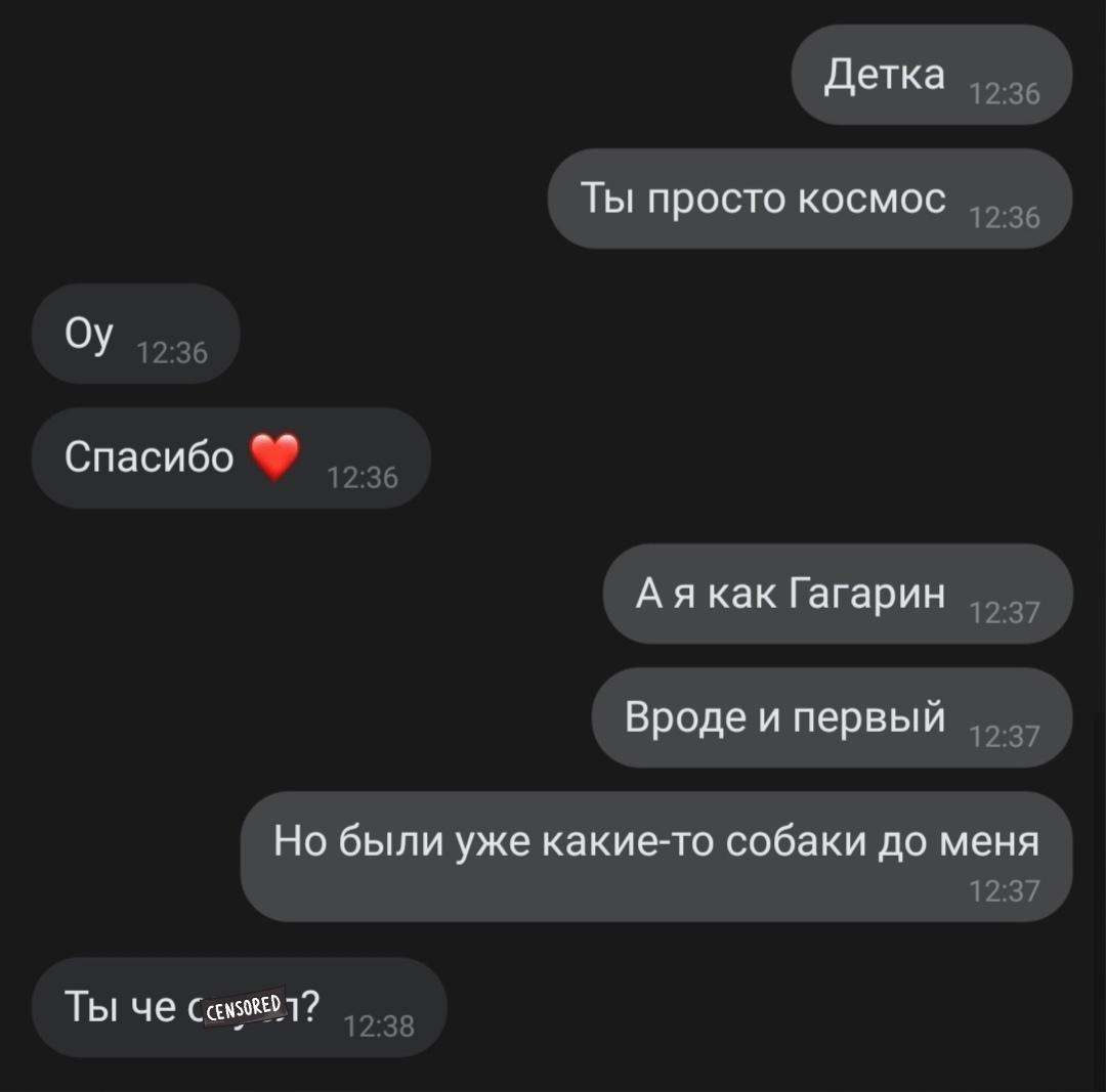 1080x1067, 49 Kb / Космос, собаки, Гагарин