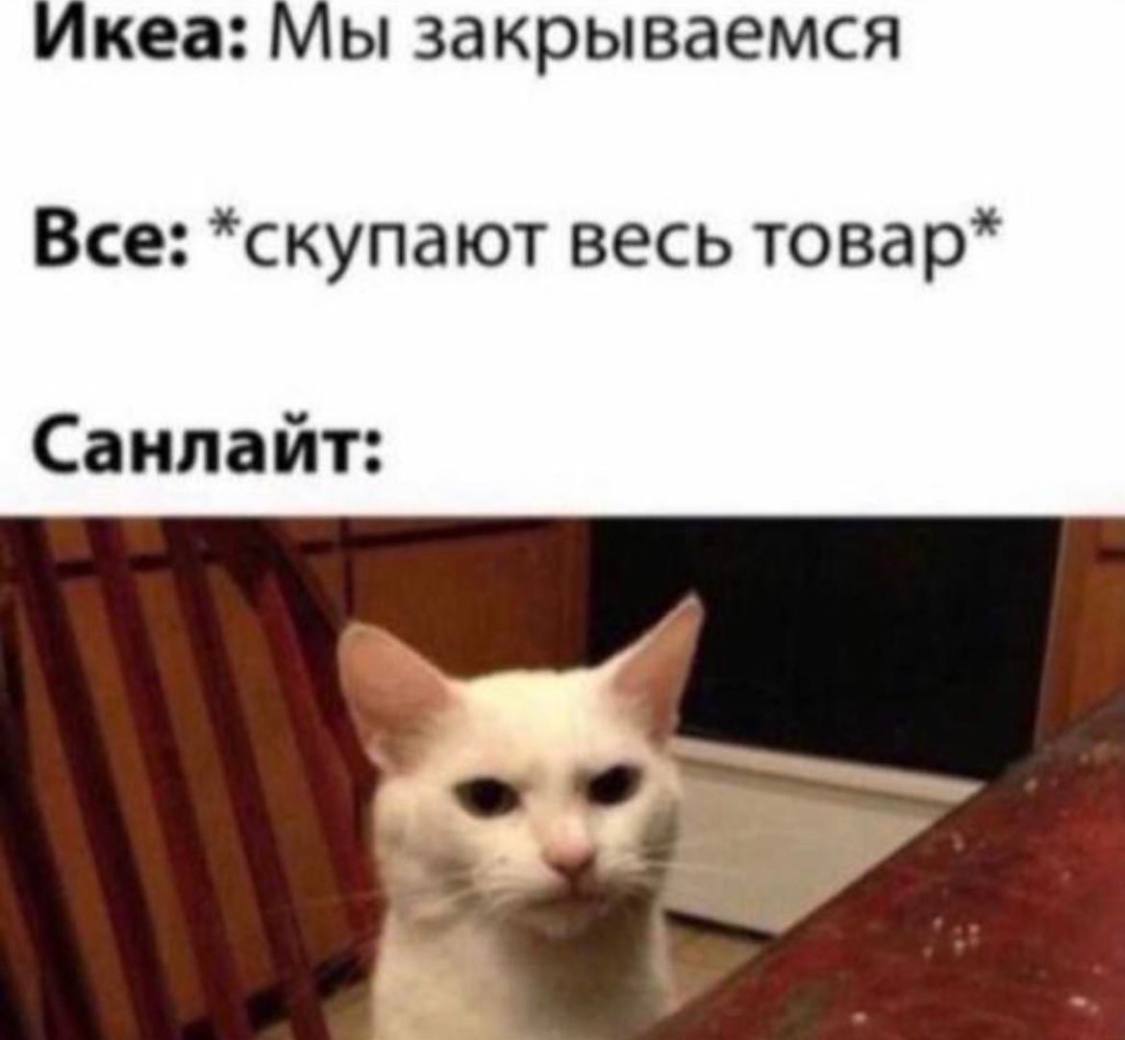 1125x1040, 57 Kb / Икея, кот, закрытие