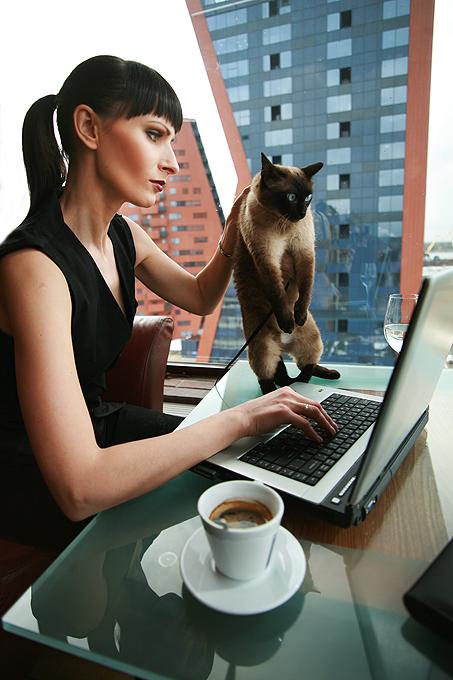 453x680, 46 Kb / кот, ноутбук