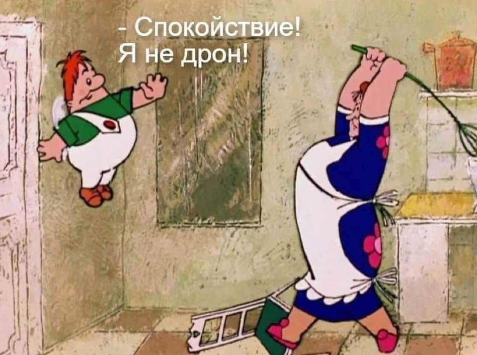 960x714, 65 Kb / Карлсон, дрон, юмор, фрекен бок, мухобойка,уничтожение