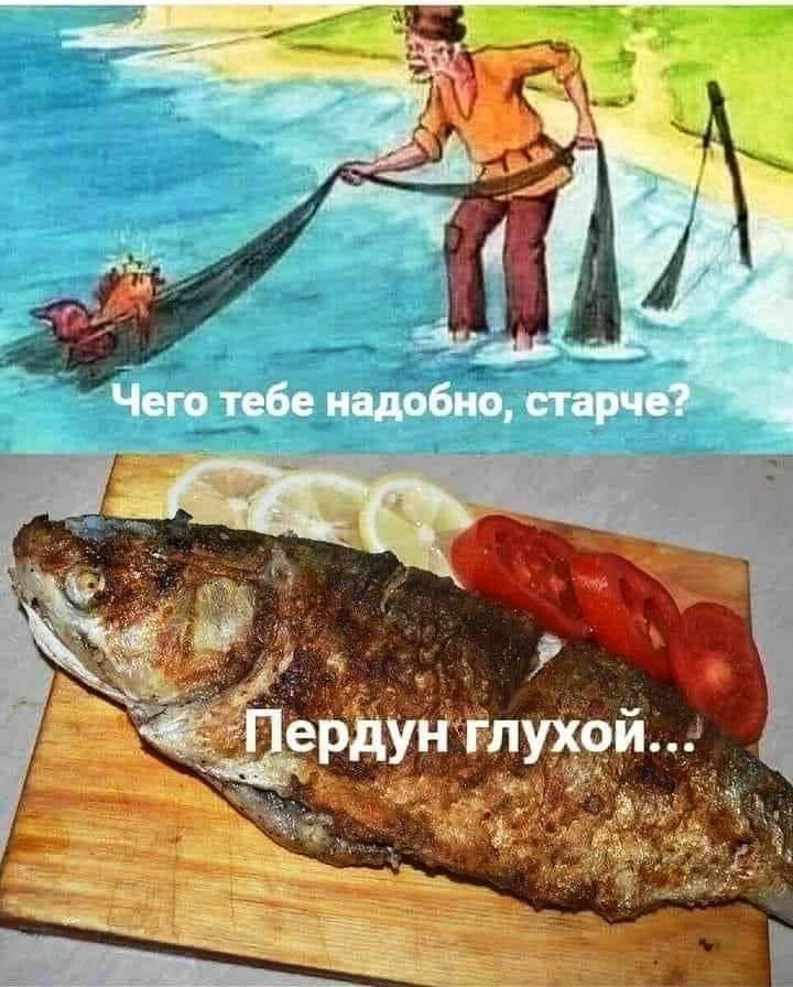 720x896, 85 Kb / Золотая рыбка, дед, сеть, рыбак