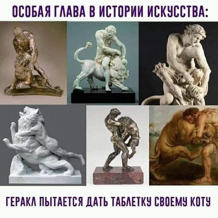 720x720, 59 Kb / Геракл, лев, таблетка