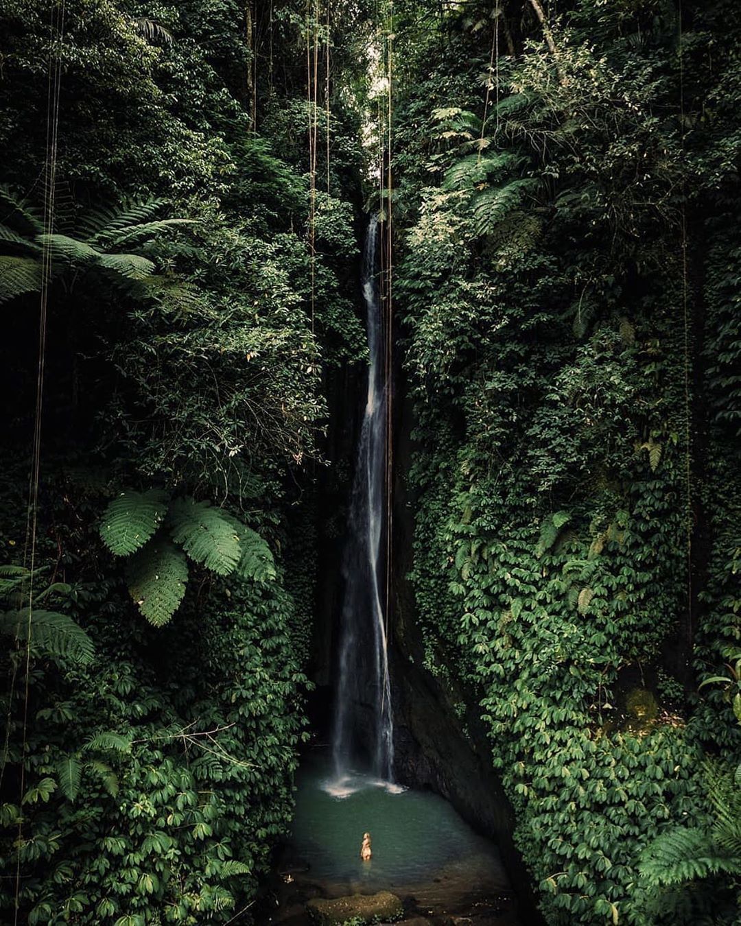 1080x1350, 368 Kb / Водопад, горы, лес, Leke Leke Waterfall, Индонезия, Бали, жопка