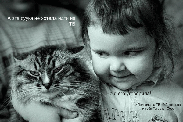 600x400, 187 Kb / ТБ, кот, девочка, ребёнок
